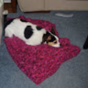 Meet your Posher, Morgen